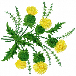 Flowers And Tree Embroidery Design 2